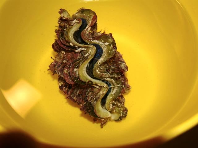 clam3.jpg