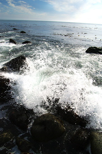 3883758340_bd918e0072.jpg