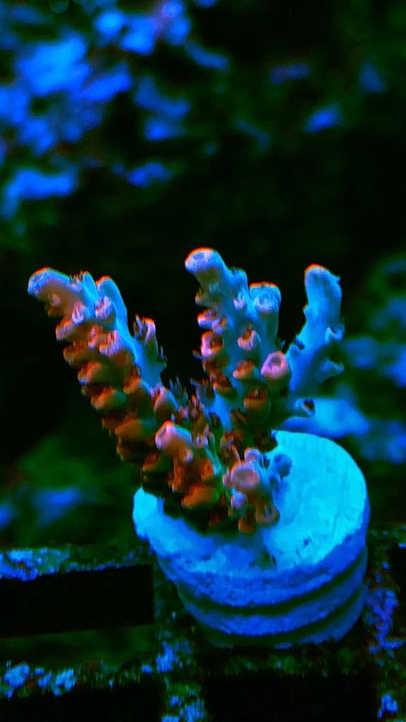 ac72936a031c7110cebcea0c0d1f9b4d.jpg