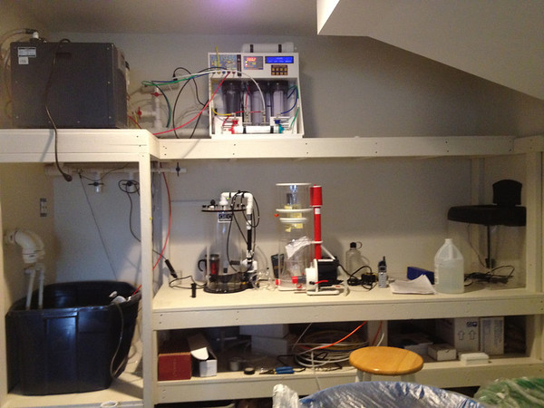 20120606-IMG0359-M.jpg
