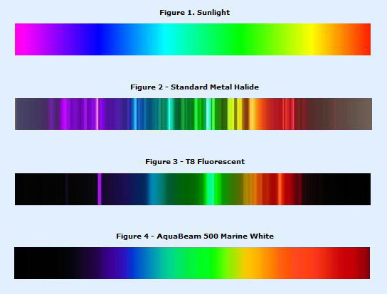 led-t8-mh-natural-light-2.jpg