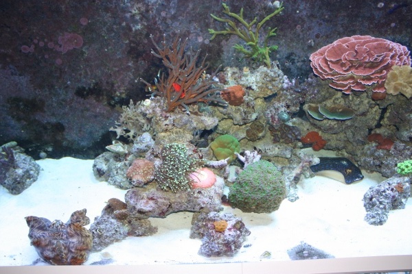 fts004.jpg