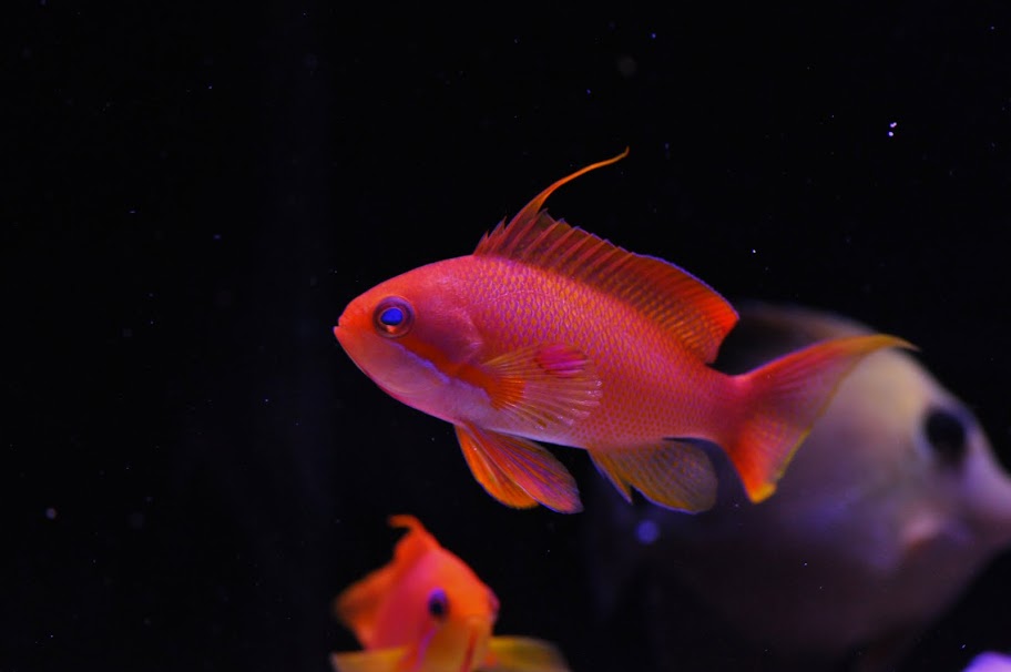 DSC_2957.JPG
