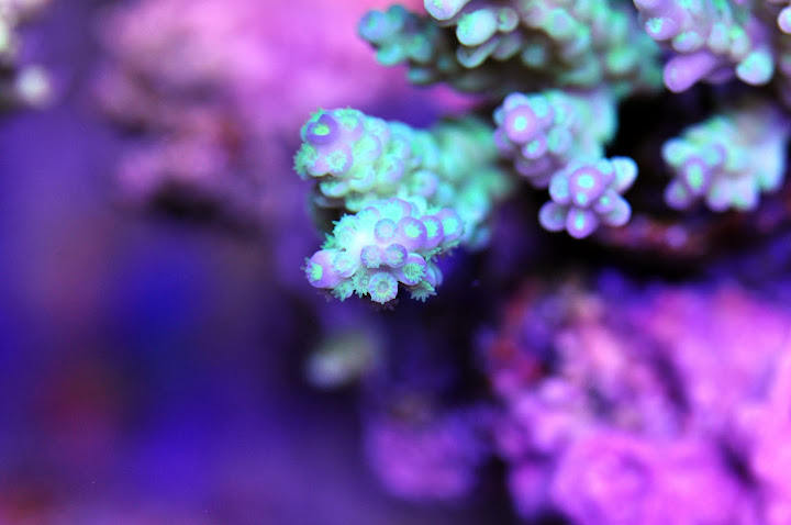 DSC_3360.JPG