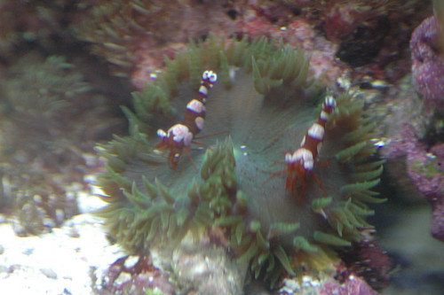 479412153_c68e09b775.jpg
