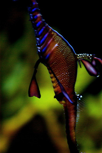 3017683778_cbd367c9d6.jpg