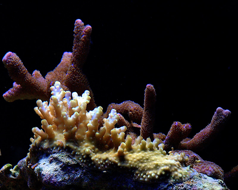 P9061588.jpg