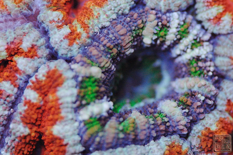 D2X_1095.jpg