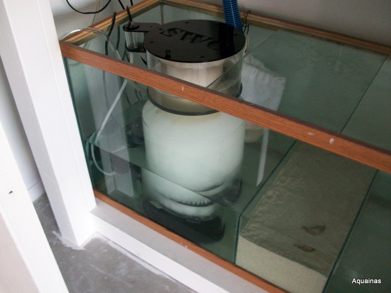 100_6770.jpg