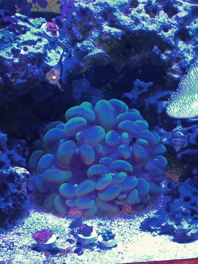 50ac92a74805f8631e572f78d2b44855.jpg