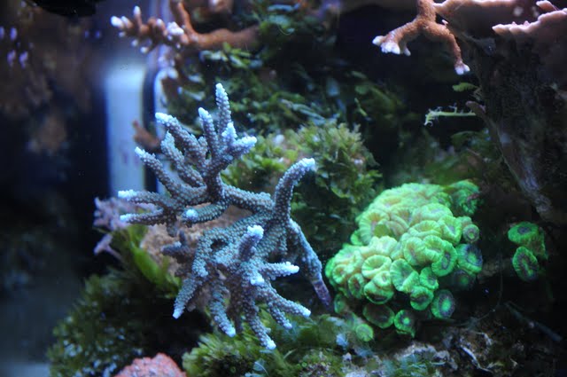 DSC_2355.JPG
