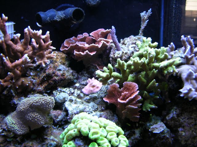 DSCN1967.JPG