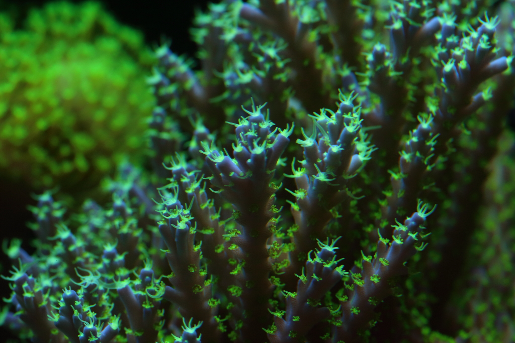 Nov2013M0077.JPG