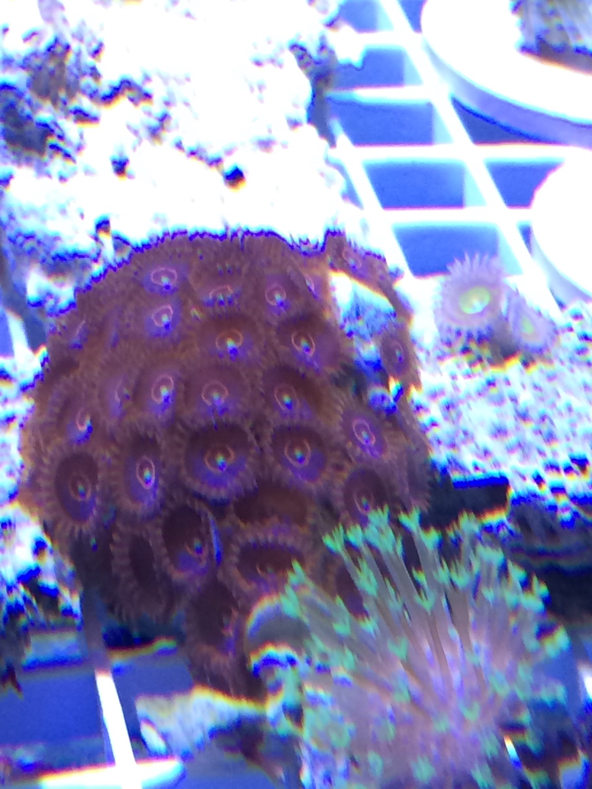 3ea385858e8943f9c48a860d03063f44.jpg