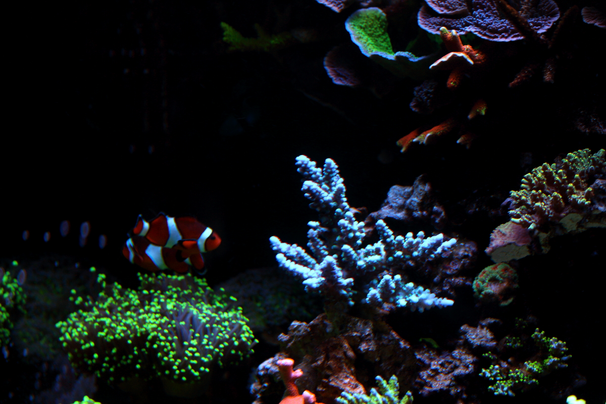 Sept20130008.JPG