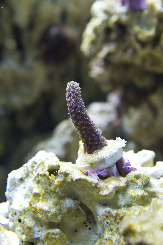 270-aquarium-6141.jpg