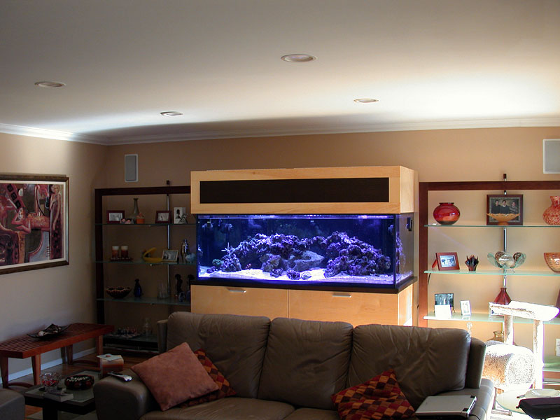 DSCN2386.jpg