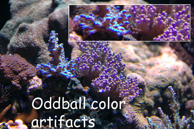 artifacts_colorized.jpg