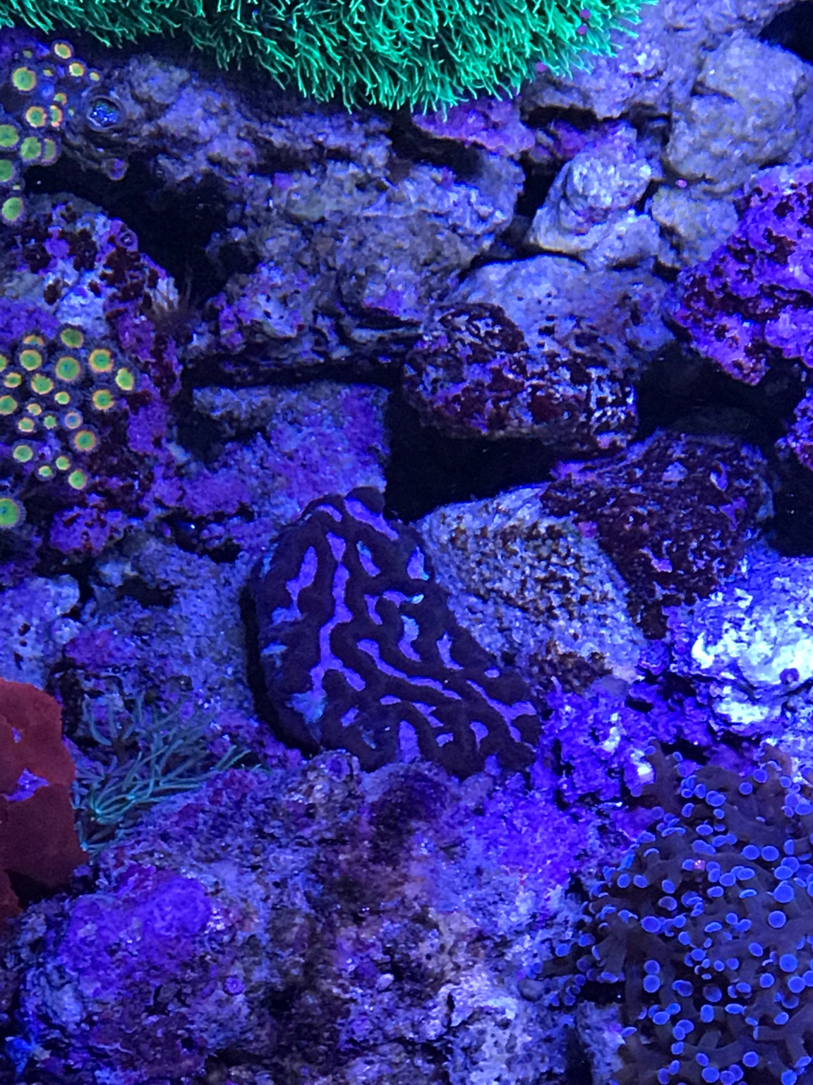 9cc49265eb4bdd5591fc80dd378af7f7.jpg
