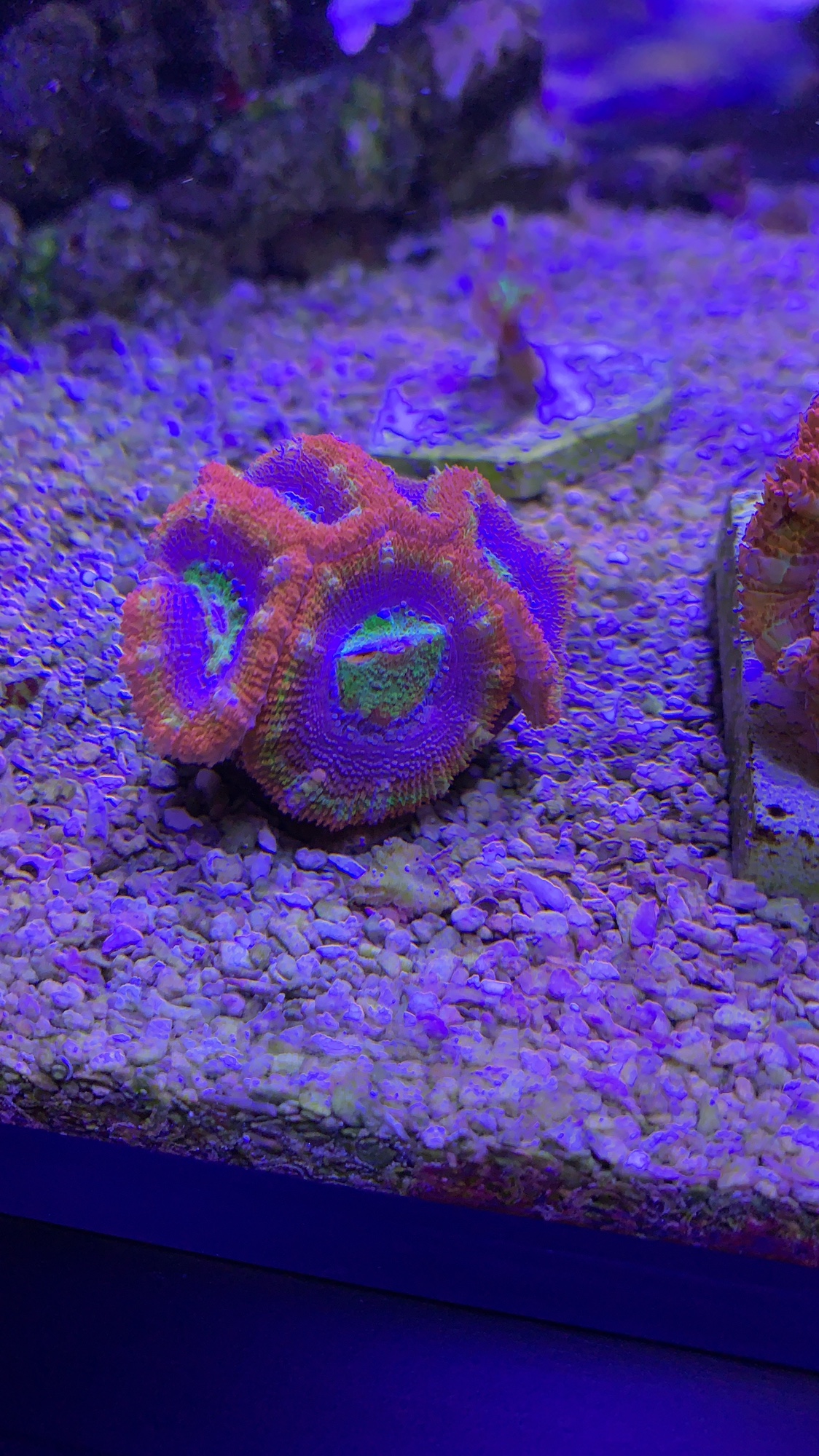 6a9365f06301a4cca1598919e9231475.jpg