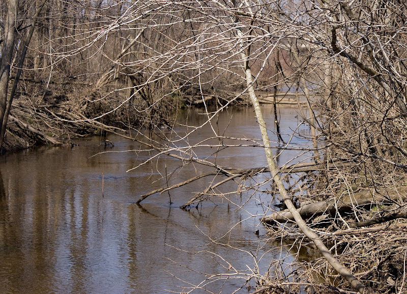 DSC00084.jpg