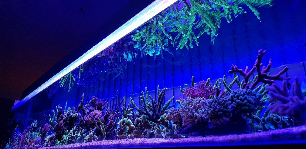 4c9a3a41cc237d312f461612a6140c17.jpg