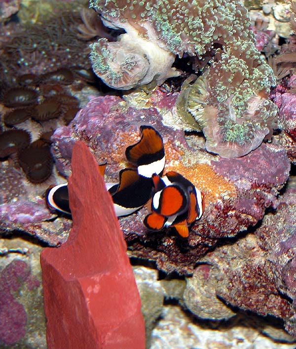 DSCN7718.jpg