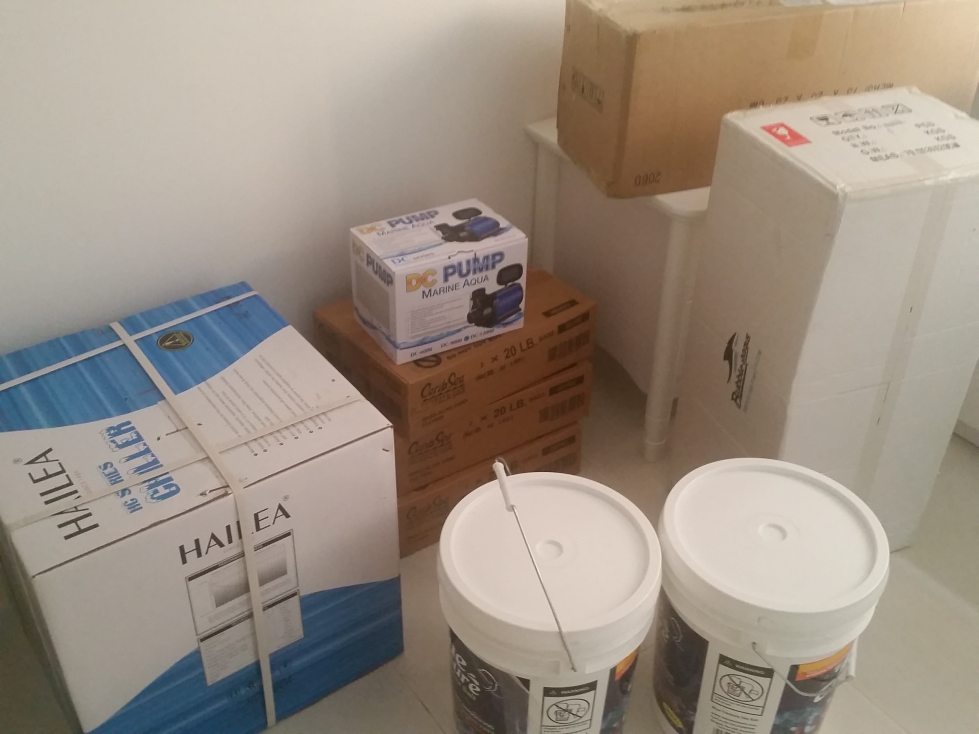 20150626_First%20Purchase.jpg