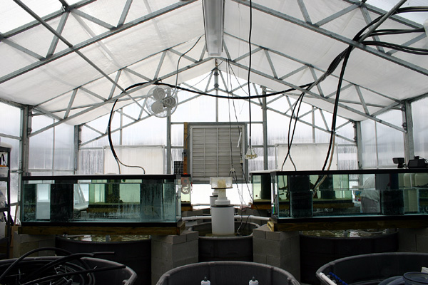 greenhouse_set2.jpg
