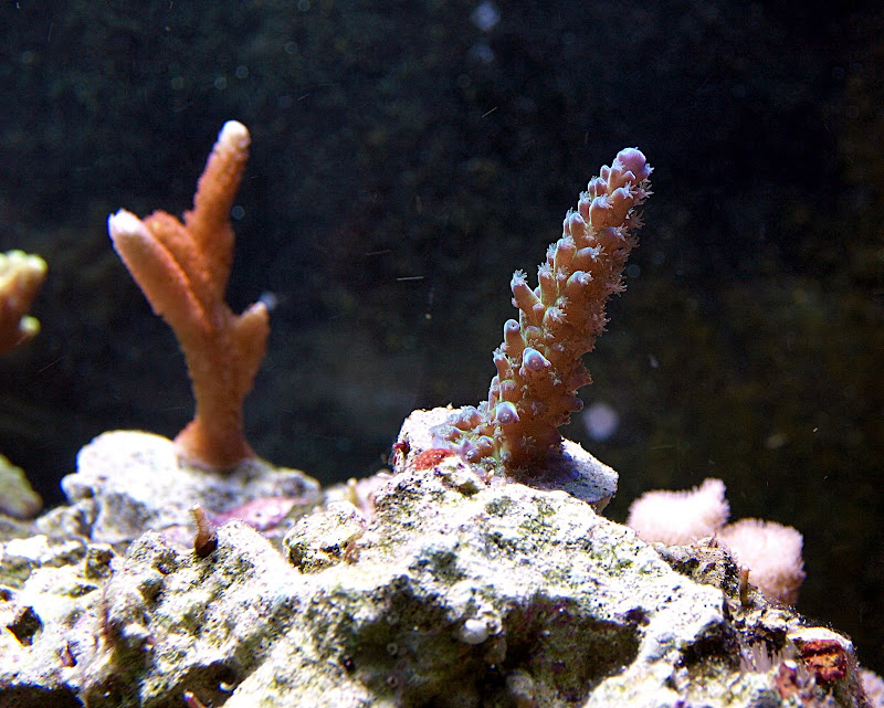 P1190289.JPG
