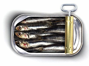 sardines.jpg