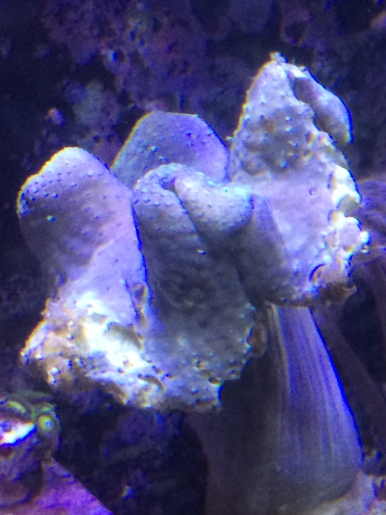 39fd381af438180c362a2d67e91ded22.jpg