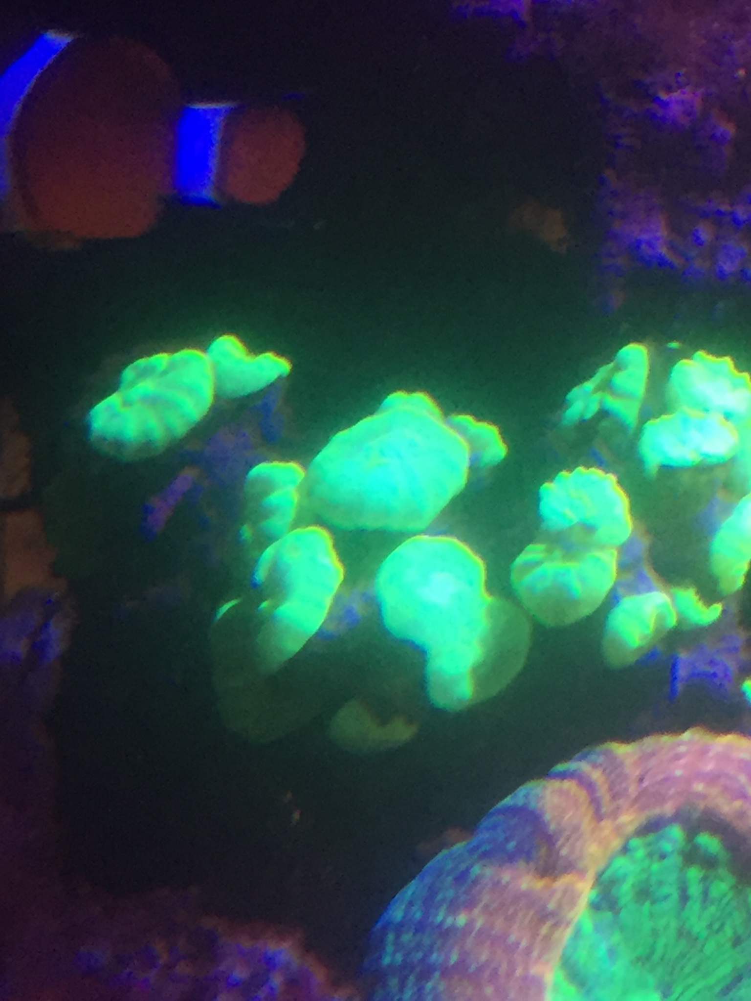 d8b4729884811fe4d14ec205e6bfeedb.jpg