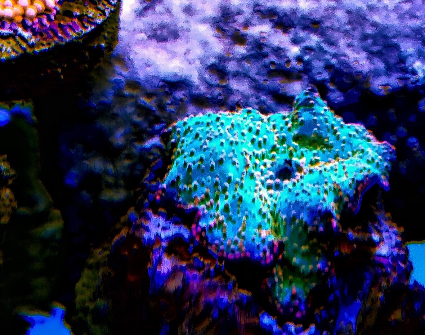 59d522429449f184fd5dc6e7d8de0523.jpg