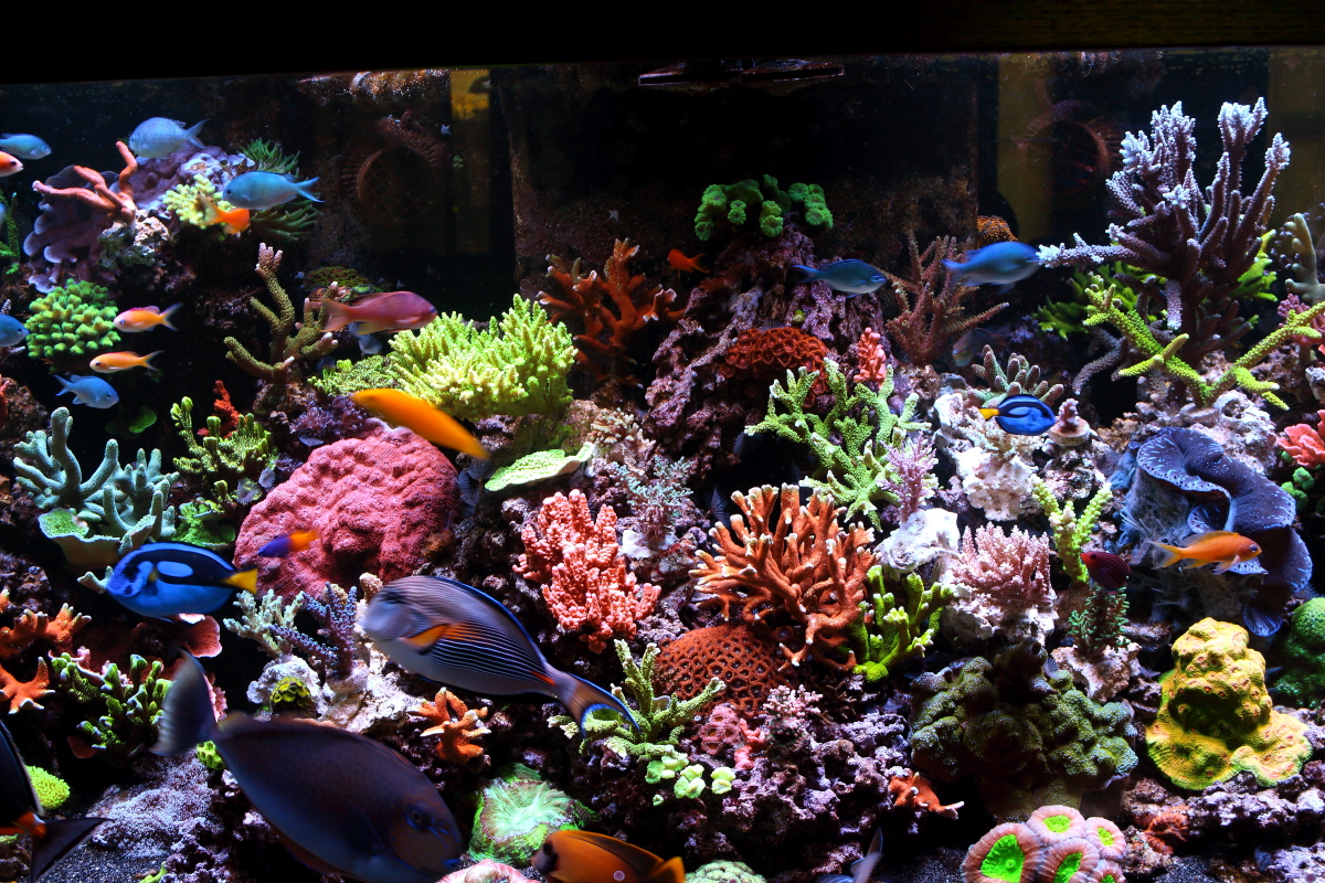Sept20130018.JPG