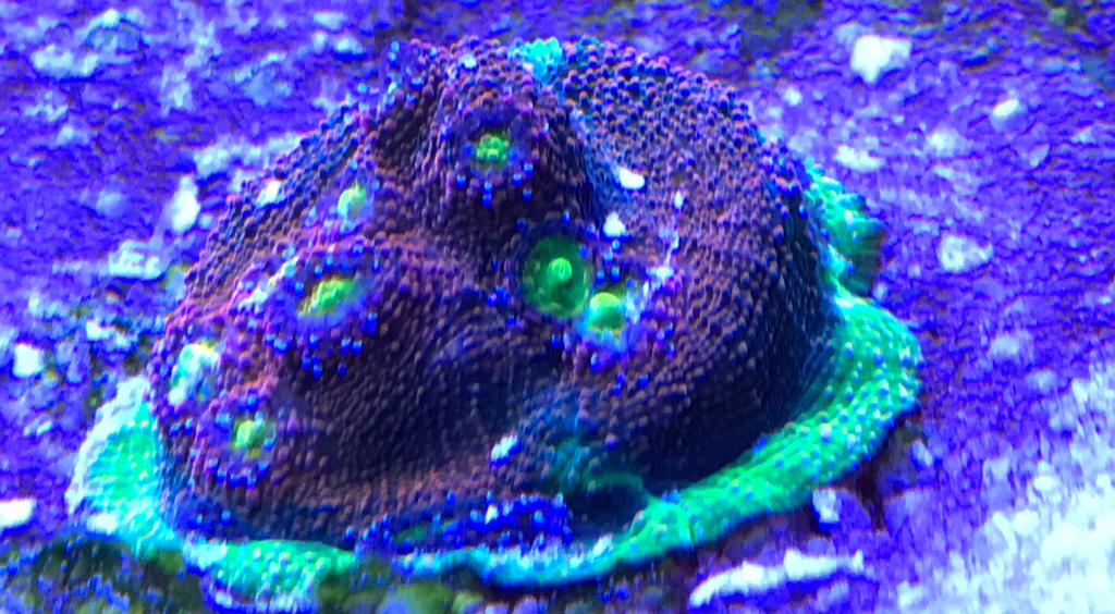 5815170d350aa378d0f1955fe0e778a7.jpg