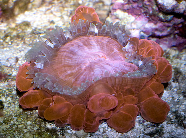 NanoJun14_08b.jpg