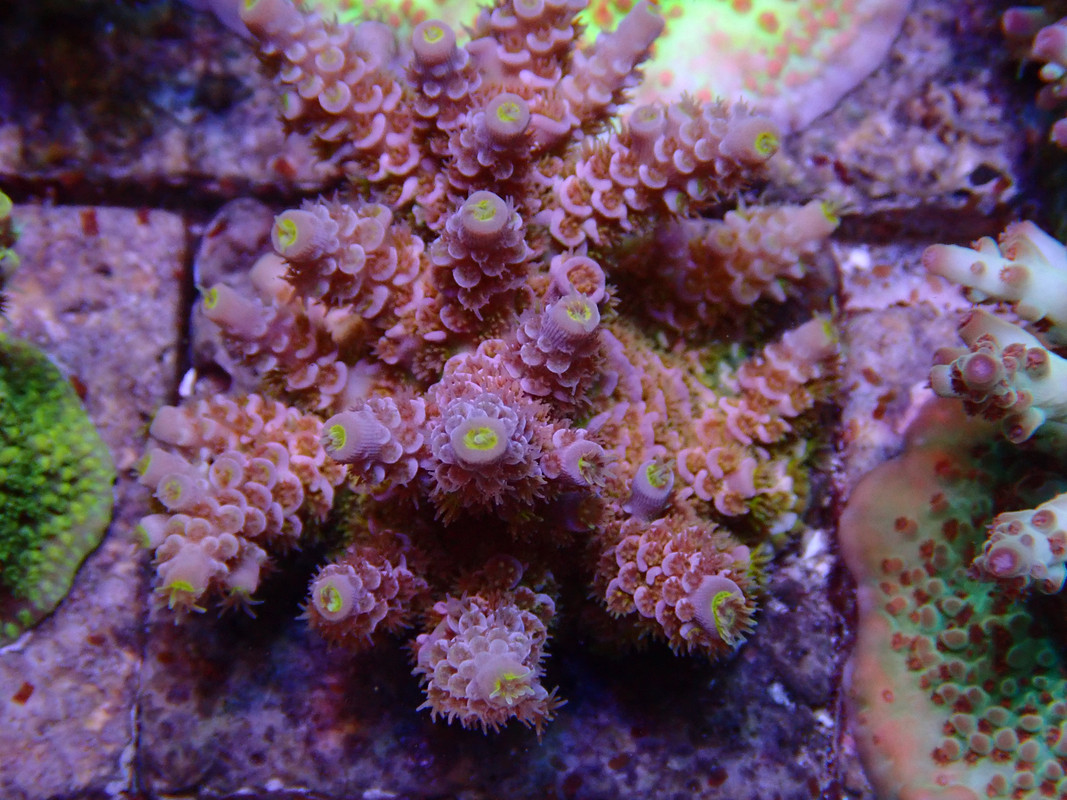 P7171241.jpg