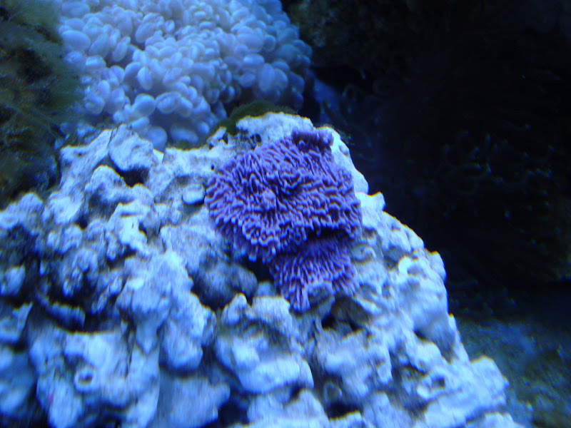 102810%20pics%20072.JPG