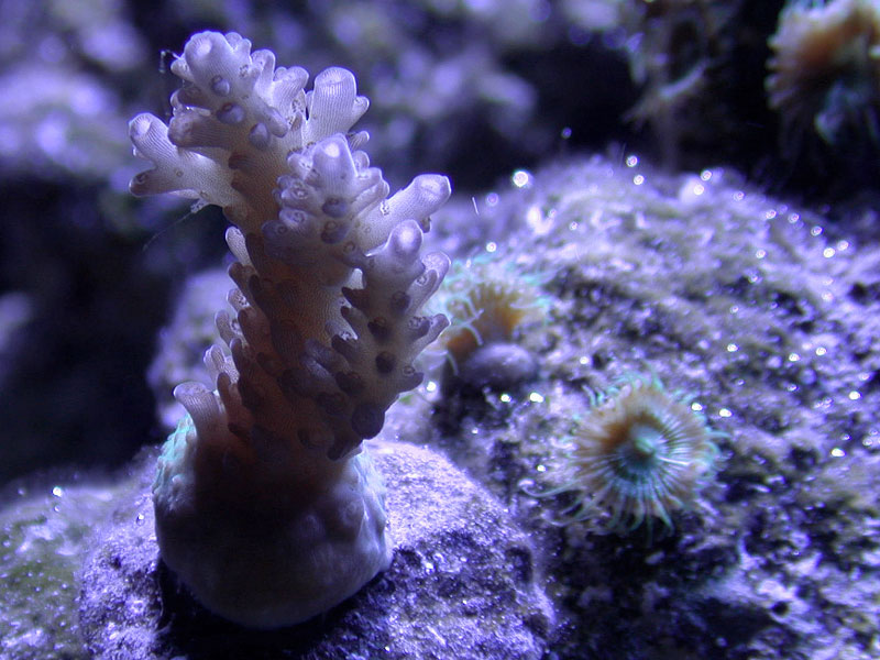 DSCN3145.jpg