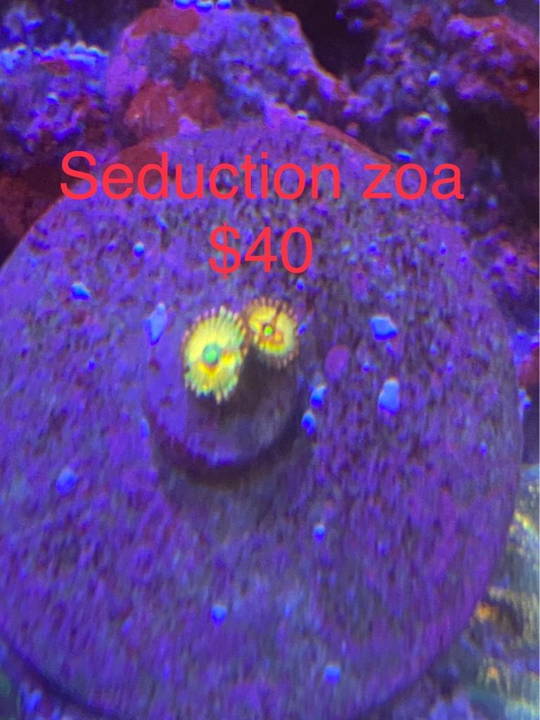 dce464e75a35f6fbe895dbae01523da1.jpg