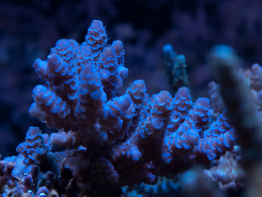 DSC_1835.jpg