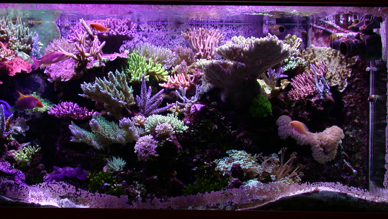 DSCN0876.jpg