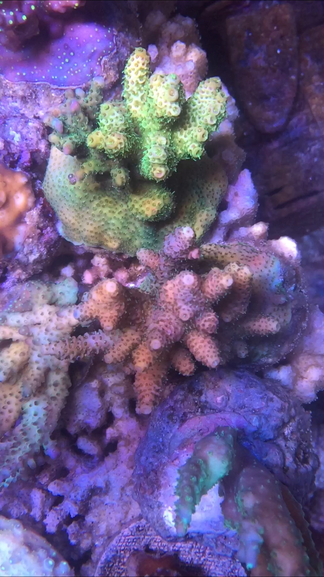 16c1194ec0d154bf265cbc0896cb4501.jpg