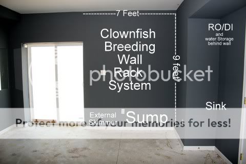 ClownfishBreedingWall.jpg