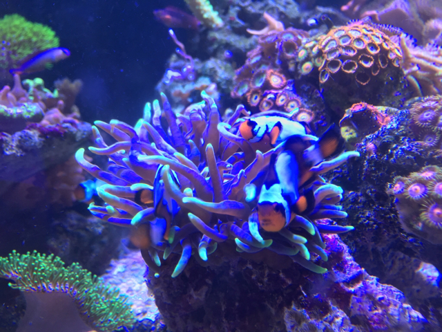5e272289c5e60c0684f700c8b0342562.jpg