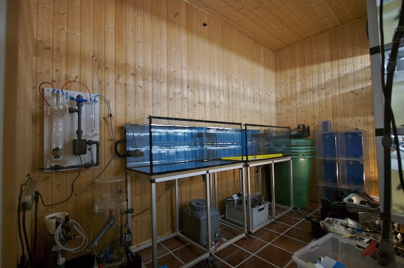 cellar1.jpg