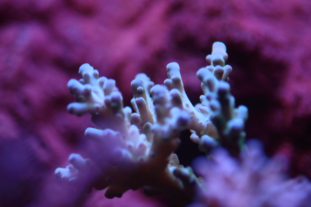 Nov2013M0016.JPG