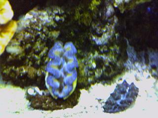 119671pic060907_1.jpg