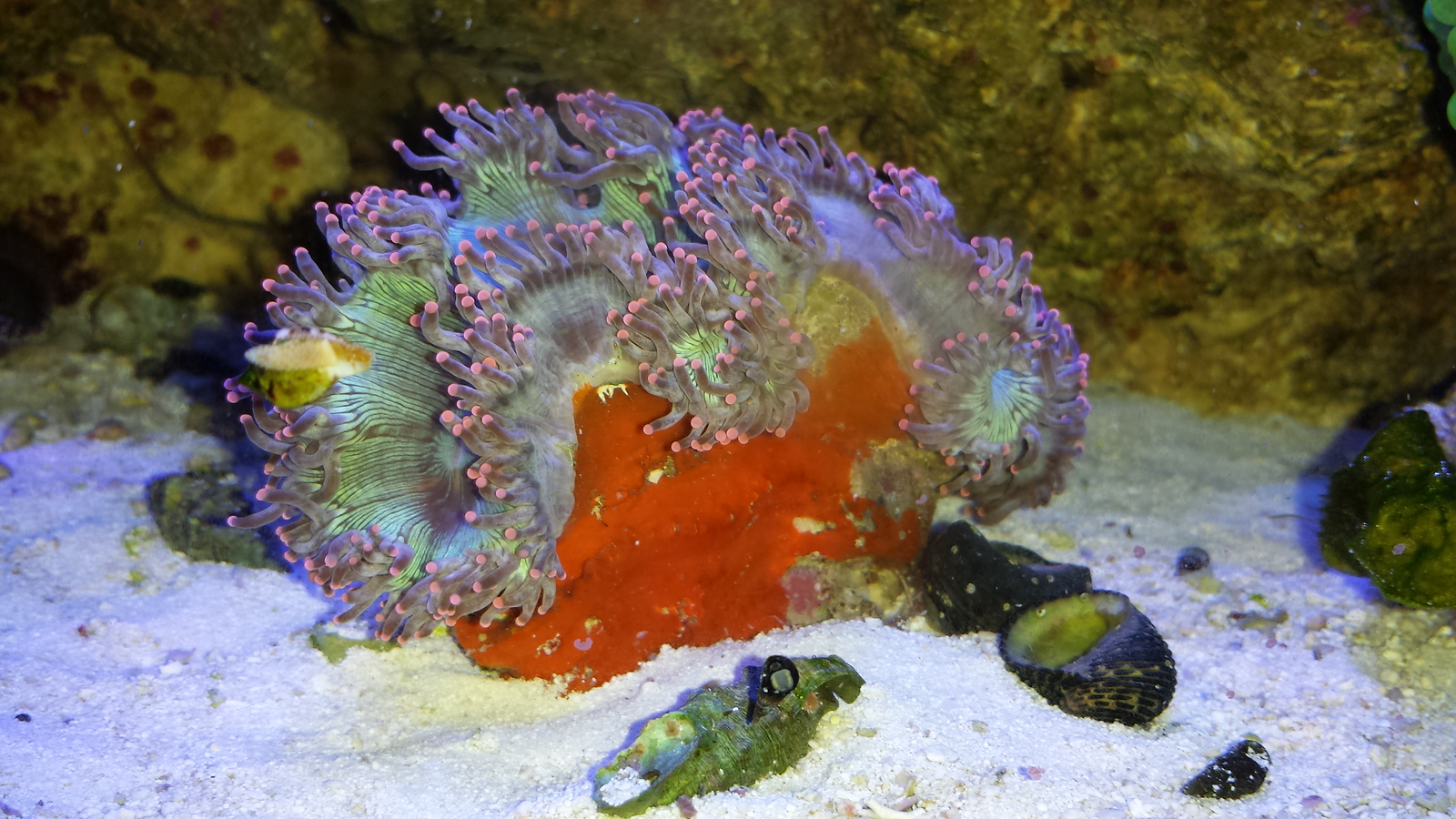 20131102_200448-X3.jpg
